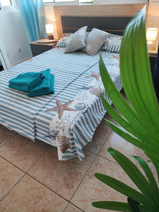 Apartament Under The Palm Trees Torrevieja Zewnętrze zdjęcie