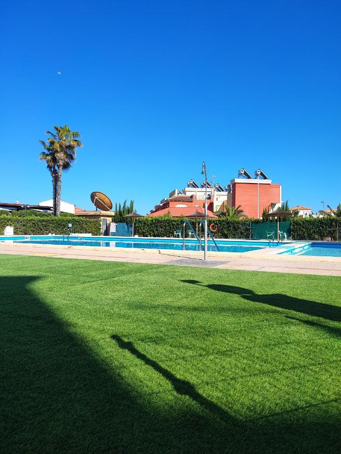 Apartament Under The Palm Trees Torrevieja Zewnętrze zdjęcie