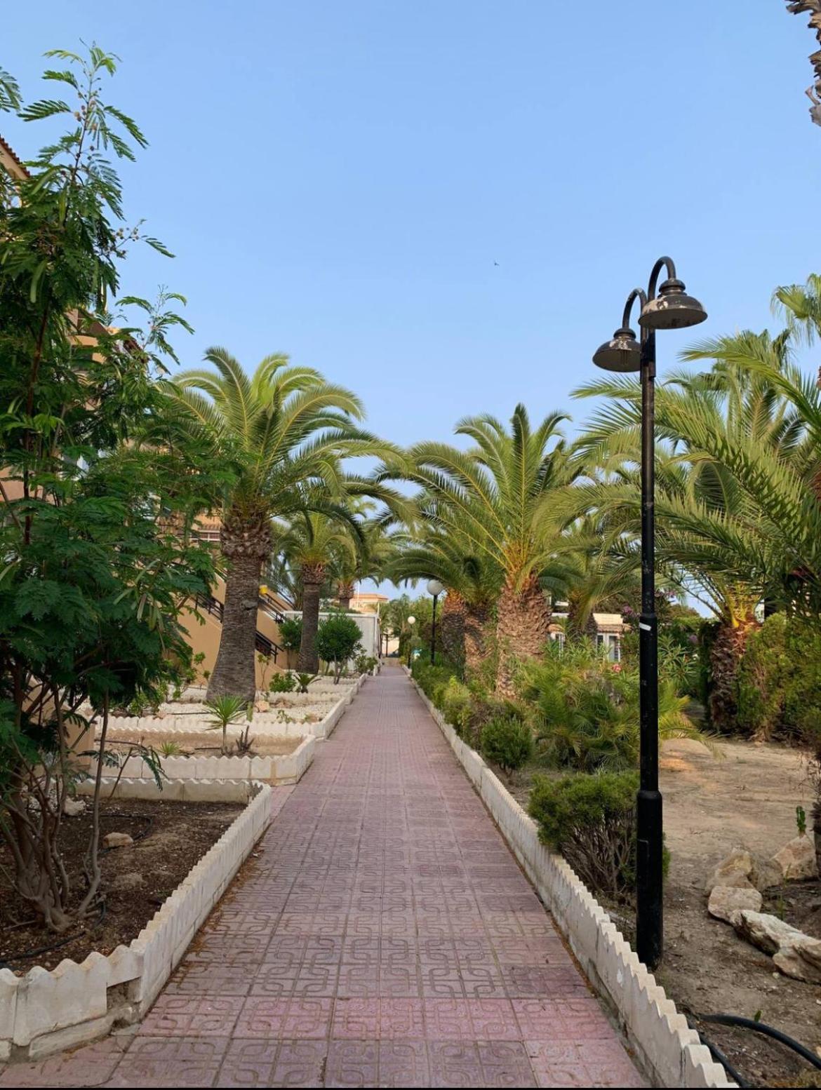 Apartament Under The Palm Trees Torrevieja Zewnętrze zdjęcie